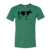 Bella/Canvas Triblend Tee Thumbnail
